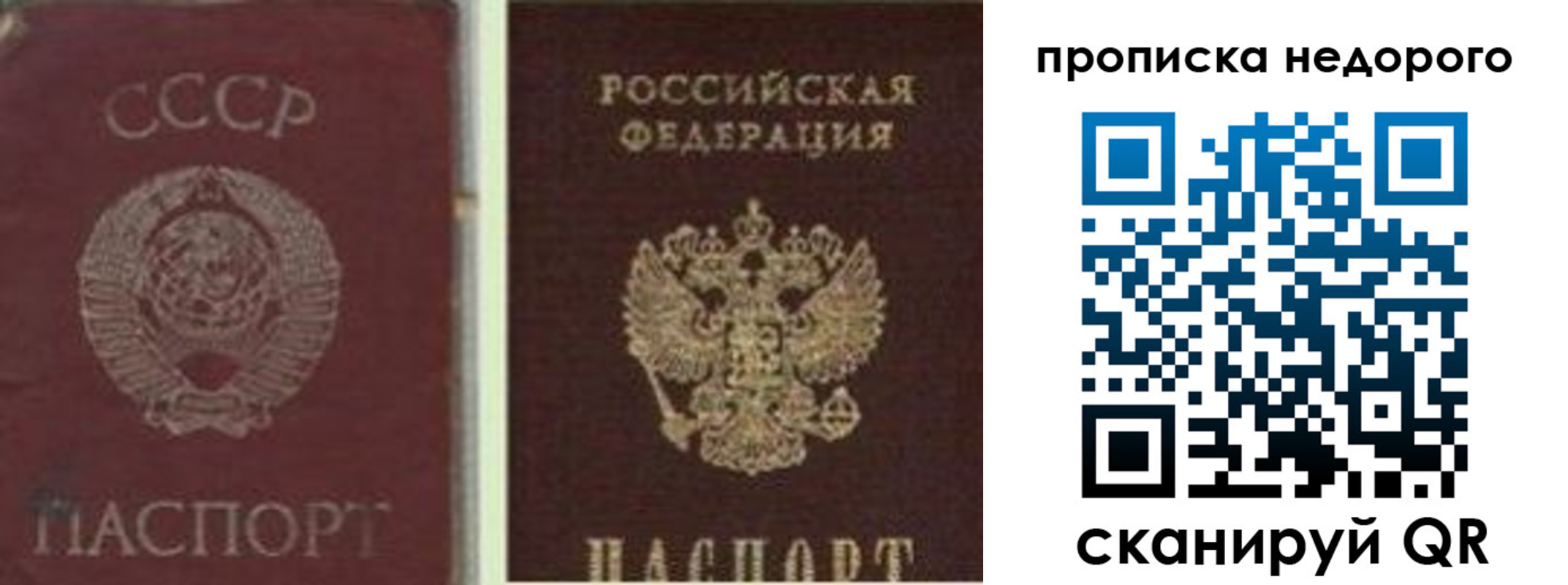 временная регистрация поиск в Муроме
